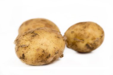 Beyaz arka plan üzerinde izole patates. sebze - patates için gazete market.high-kararlılık fotoğraf