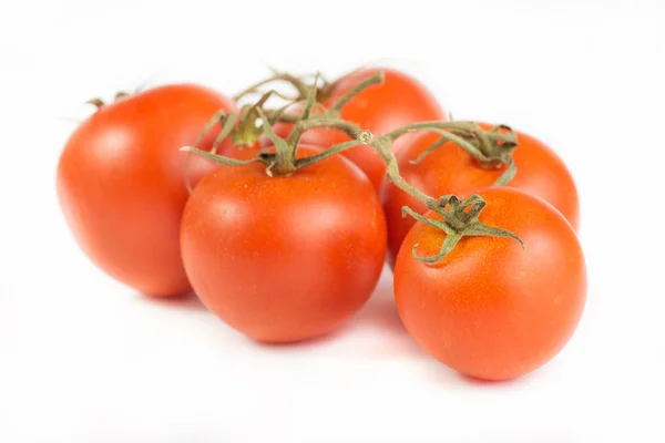 Tomates aux feuilles vertes isolées sur fond blanc — Photo