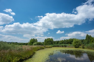 Lake forest yakınındaki