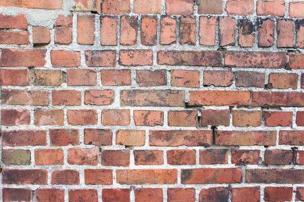 Tegel vägg bakgrund — Stockfoto