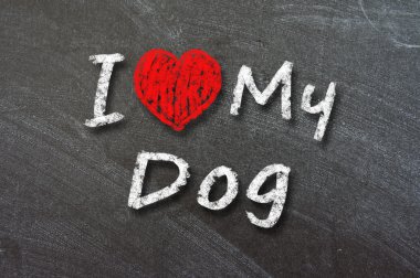 Beyaz tebeşir ile el yazısıyla Köpeğimi seviyorum