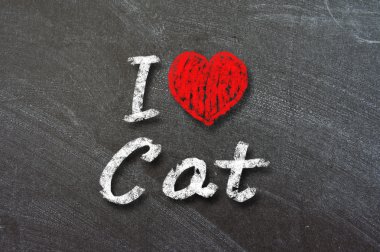 kedi ile Beyaz tebeşir el yazısıyla yazılmış aşk