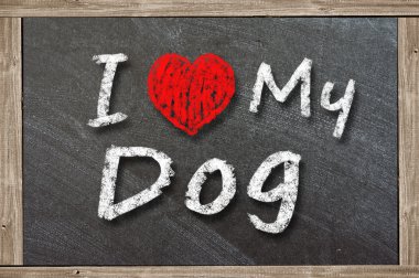 Köpeğimi seviyorum.