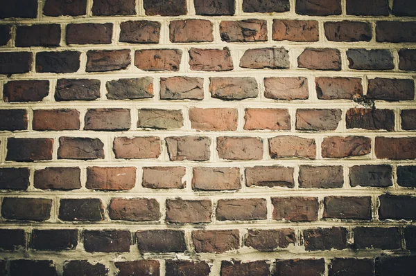 Brun murstensvæg - Stock-foto