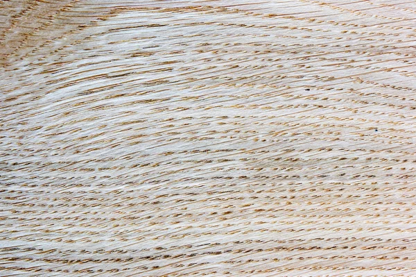 Textura de madeira bege clara — Fotografia de Stock