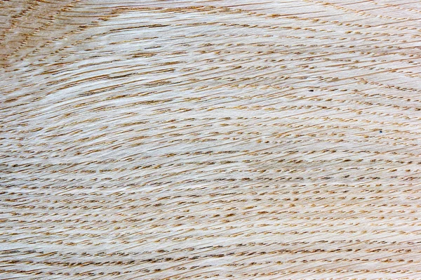 Light beige wooden texture — Stock Photo, Image