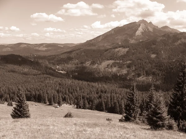 Berg tatras — Stockfoto