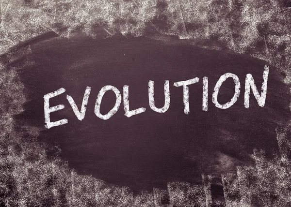 Evolution on a blackboard. — Stock Photo, Image