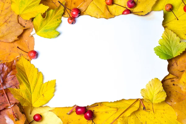 Carta su foglie di autunno — Foto Stock