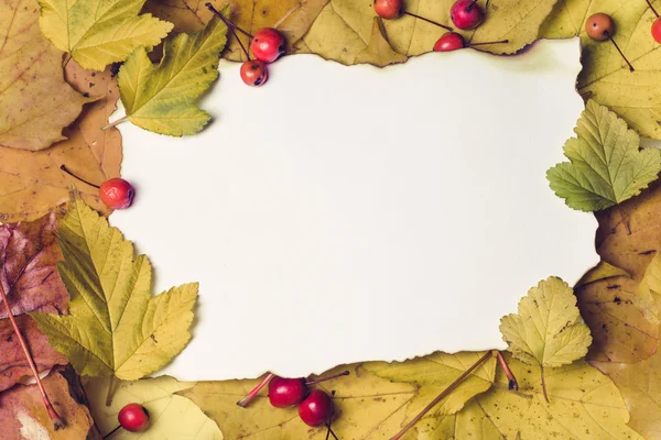 Carta su foglie di autunno — Foto Stock