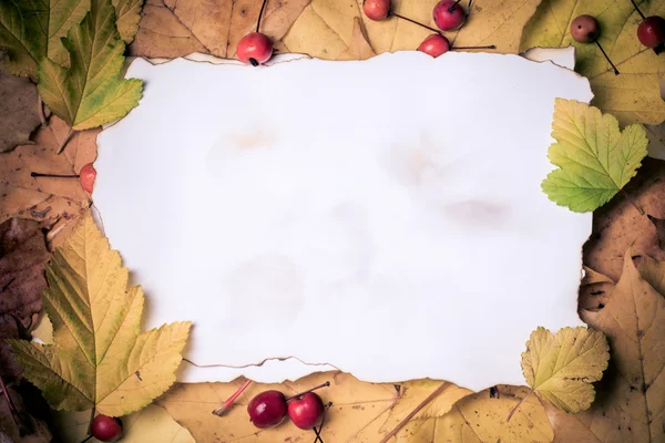 Paper on autumn leaves — Stock Photo, Image