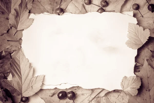 Paper on autumn leaves — Stock Photo, Image