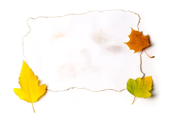 Papier sur feuilles d'automne — Photo