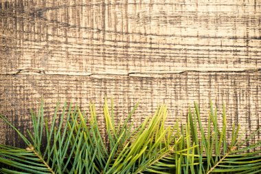 çam çırpı ahşap tablo