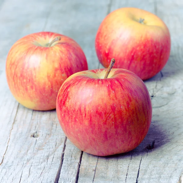 Rött äpple frukt mogen dagg — Stockfoto