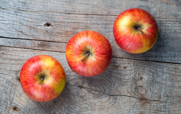 Rött äpple frukt mogen dagg — Stockfoto