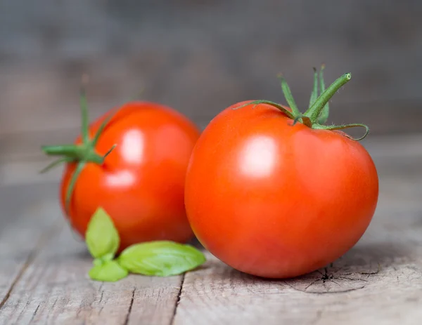 Tomates —  Fotos de Stock