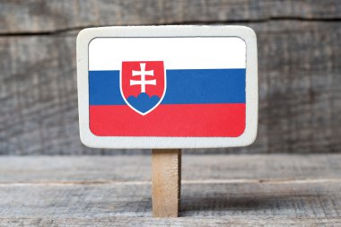 Slovakya bayrağı