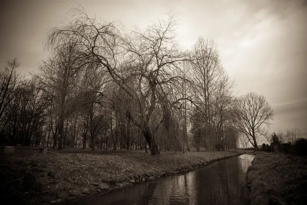 Nehir ile sonbahar park — Stok fotoğraf