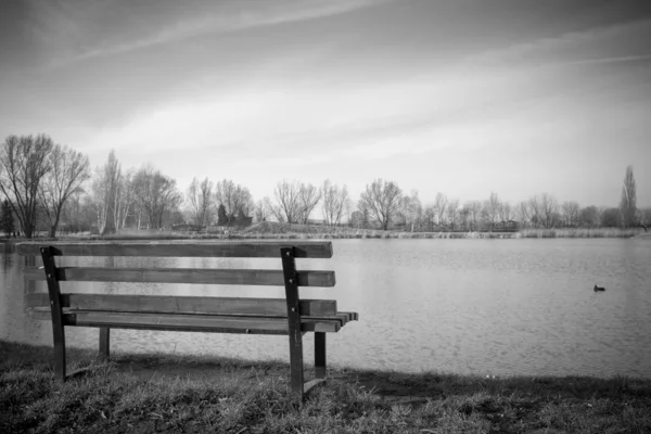 Samotny ławce w pobliżu jeziora — Zdjęcie stockowe