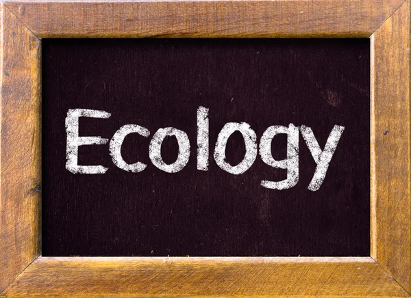 Ecology — Stock Photo, Image