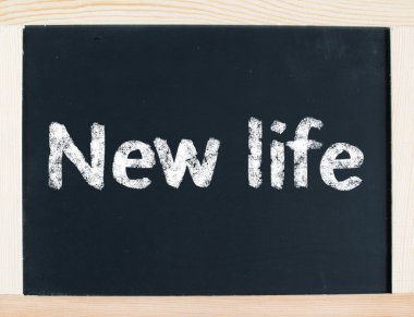 Yeni Yaşam