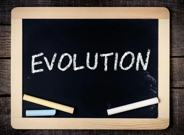 Evolutie op een schoolbord. — Stockfoto