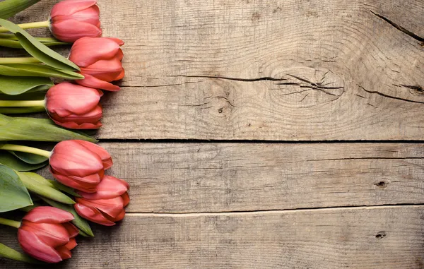 Tulipanes rojos sobre fondo de madera — Foto de Stock