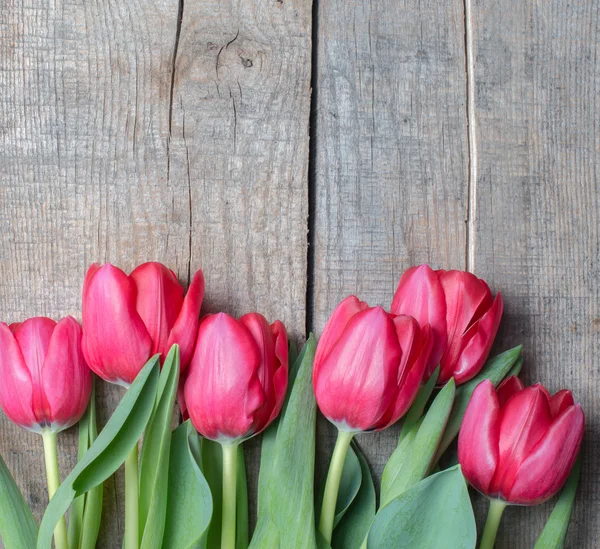 Tulipanes rojos sobre fondo de madera — Foto de Stock