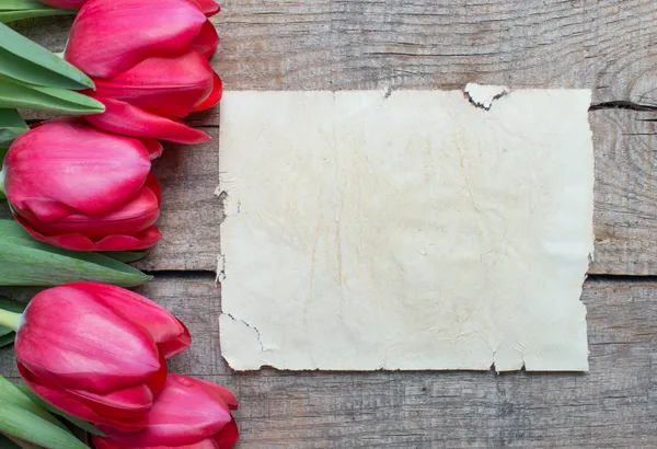 Tulipanes y papel con espacio para copiar —  Fotos de Stock