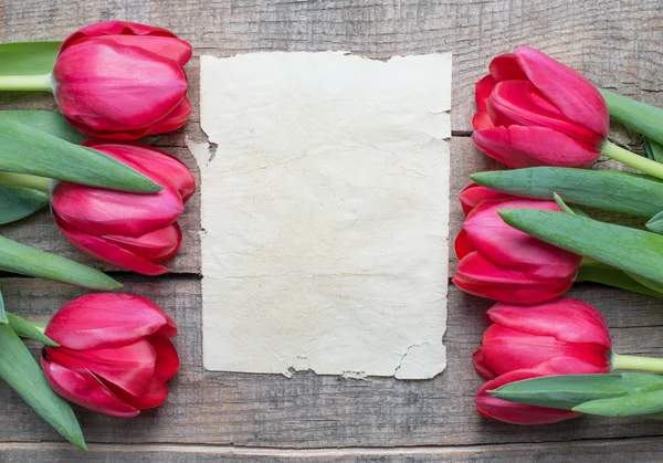 Tulipany i papier z kopia miejsce — Zdjęcie stockowe