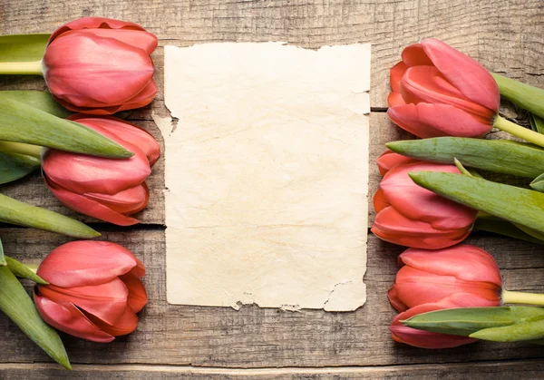 Tulipány a papír s kopií prostor — Stock fotografie