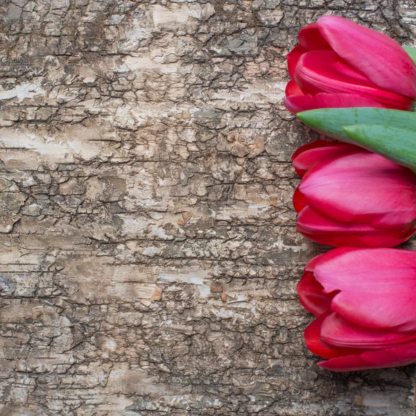 Rote Tulpen auf hölzernem Hintergrund — Stockfoto