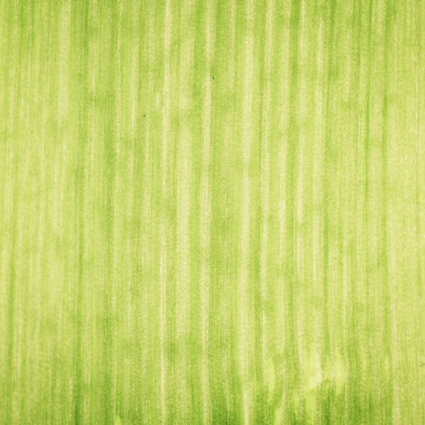 Grönt blad bakgrund — Stockfoto