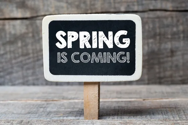 Spring is coming — Stock Photo, Image