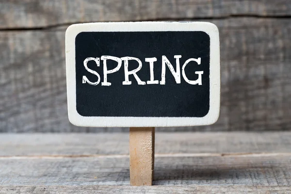 Spring — Stock Photo, Image