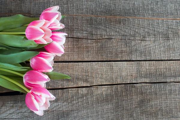 Banch růžové a bílé tulipány — Stock fotografie