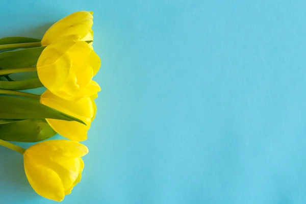 Banch žluté tulipány — Stock fotografie