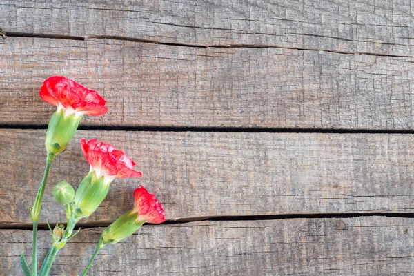 Cravos vermelhos e brancos flores sobre mesa de madeira marrom rústico — Fotografia de Stock