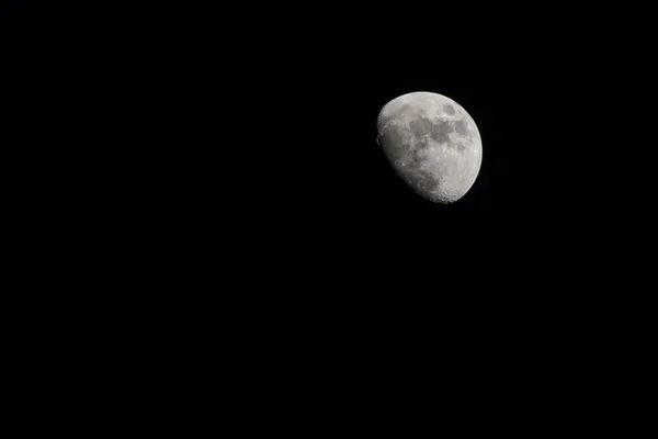 New moon — Stock Photo, Image