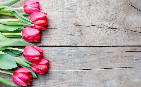 Bouquet of tulips — Stock Photo, Image