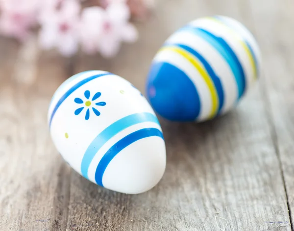 Colored Easter eggs and cherry blossom flowers — Stock Photo, Image