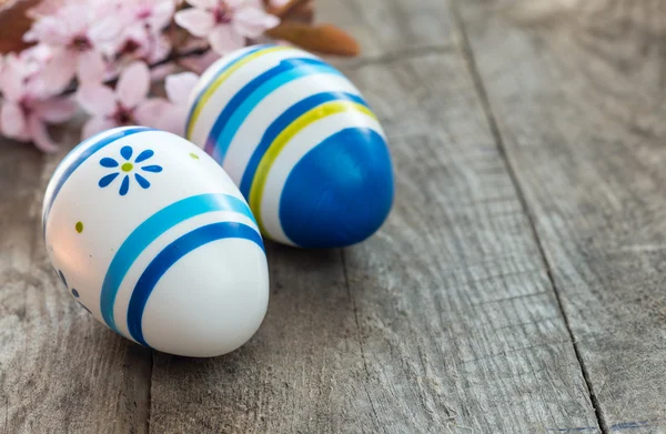 Colored Easter eggs and cherry blossom flowers — Stock Photo, Image