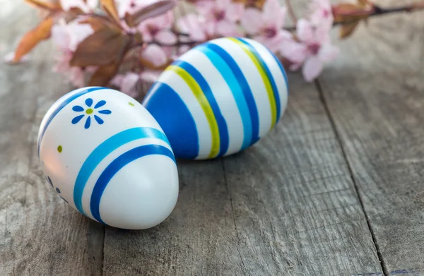 Colored Easter eggs and cherry blossom flowers — Stock Photo, Image