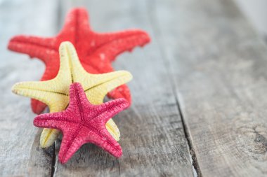 kabuklu deniz ürünleri ile dekore edilmiş ahşap masa