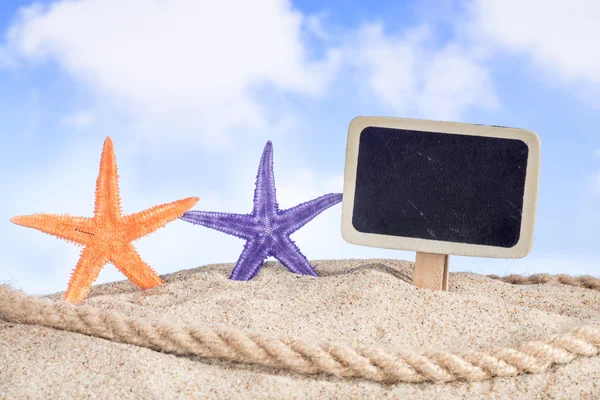 Deniz yıldızı deniz kabuğu ve etiket — Stok fotoğraf