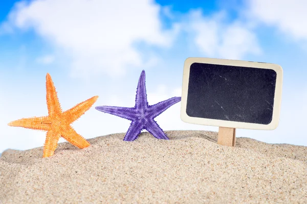 Deniz yıldızı deniz kabuğu ve etiket — Stok fotoğraf