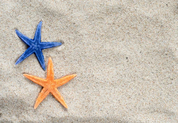 Starfishes em areia molhada — Fotografia de Stock