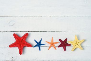 starfishes