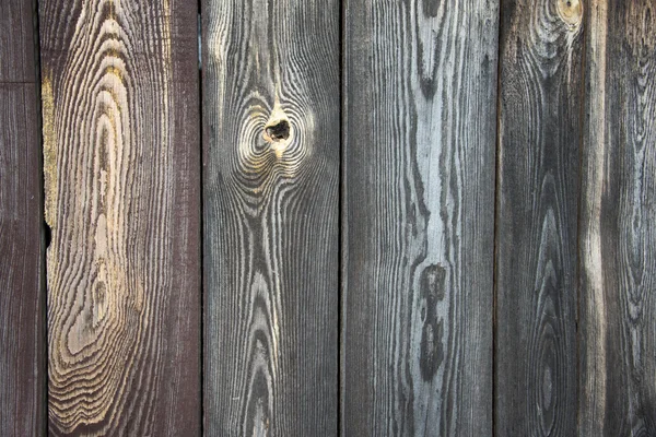 Textura de madeira — Fotografia de Stock